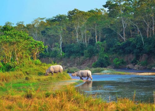 2 Night 3 Days Chitwan National Park Tour