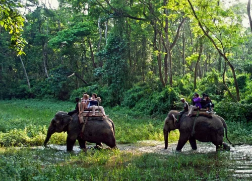 Bardiya National Park