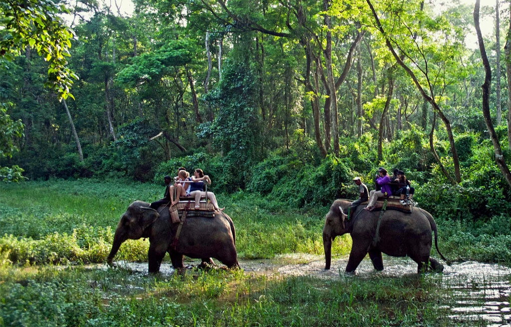 Bardiya National Park