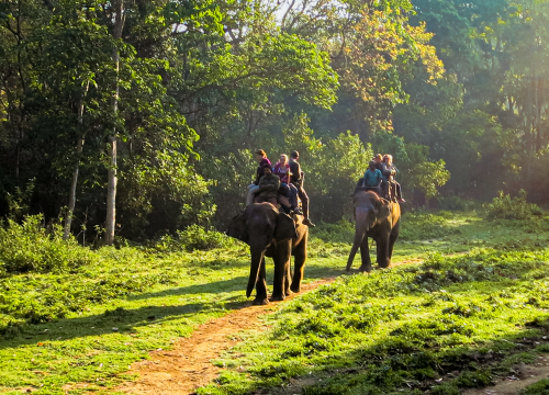 Sightseeing and safari in Chitwan